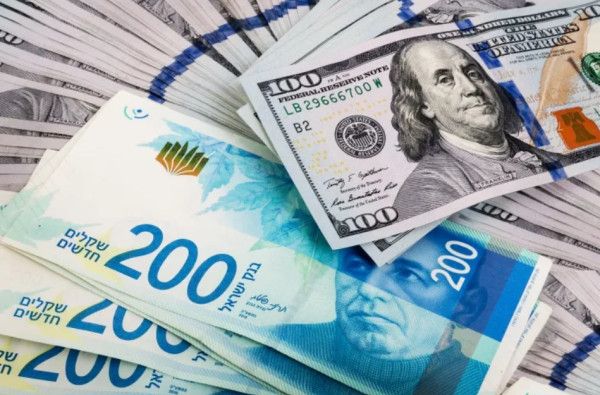 أسعار العملات والمعادن في فلسطين