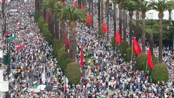 المغرب: أكثر من 55 مظاهرة تضامنية دعماً لغزة في مختلف المدن