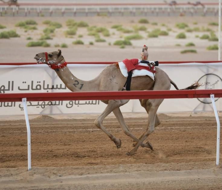 «الوارية» تحلق بناموس الحول في ختام ثالث جولات مهرجان العين