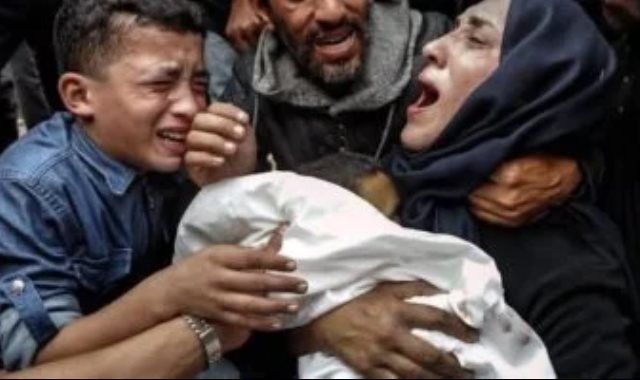 بيان وزارى عربى وإسلامى يدعو إلى الوقف الفورى لإطلاق النار فى قطاع غزة