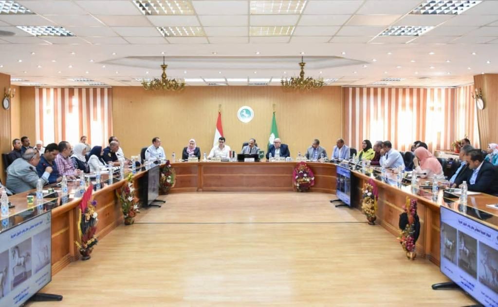 استعدادات مصرية لإطلاق مهرجان الخيول العربية