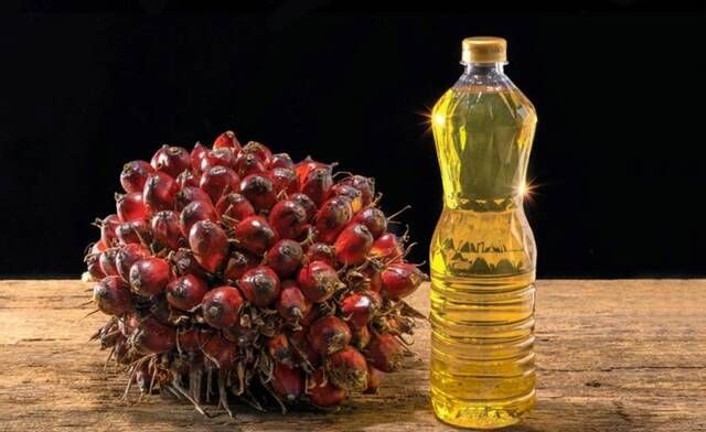 انخفاض أسعار زيت النخيل إلى أدنى مستوى في ستة أسابيع