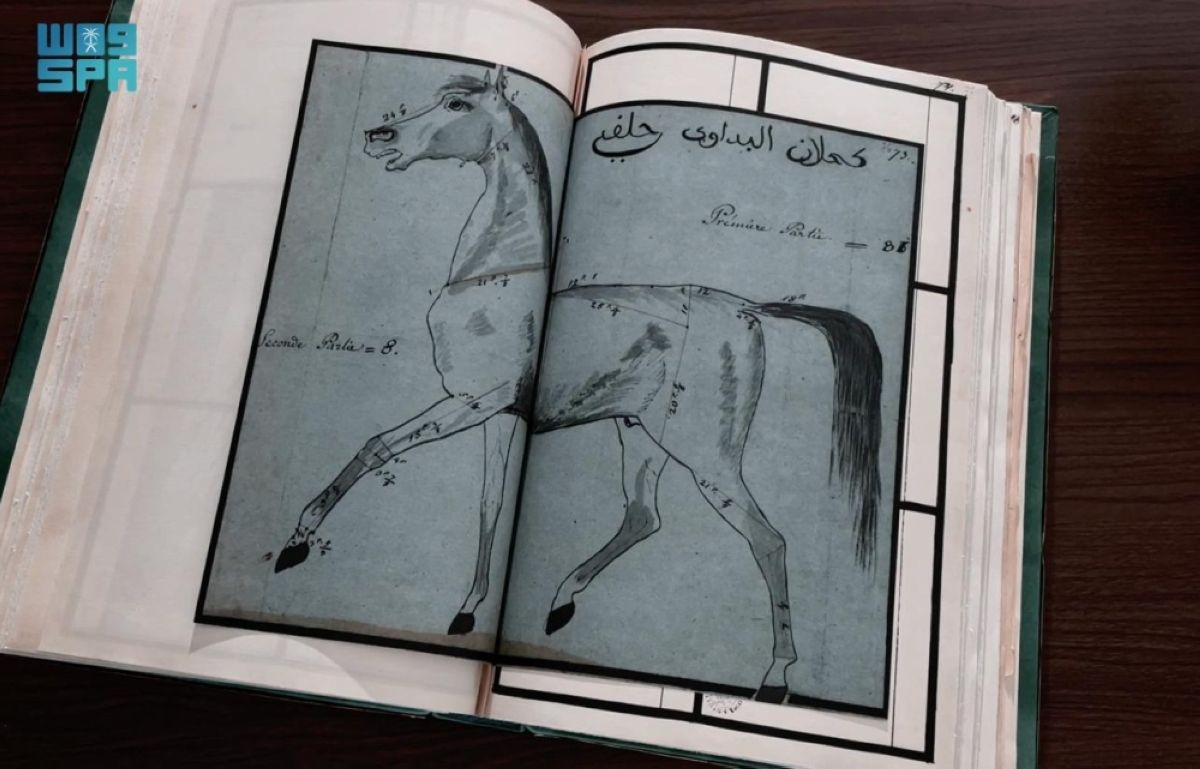 مركز دراسات الفروسية بمكتبة الملك عبدالعزيز يبرز دور الخيل والفروسية في مراحل التوحيد والوحدة