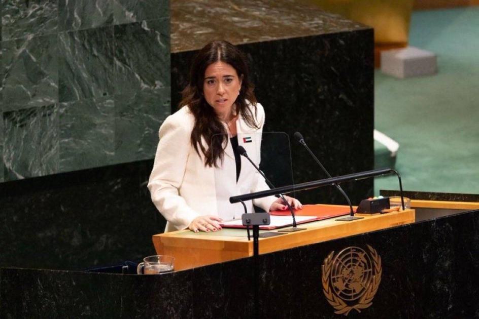 الإمارات تؤكد مركزية حل الدولتين وتدعو لوقف حرب غزة فوراً (فيديو)