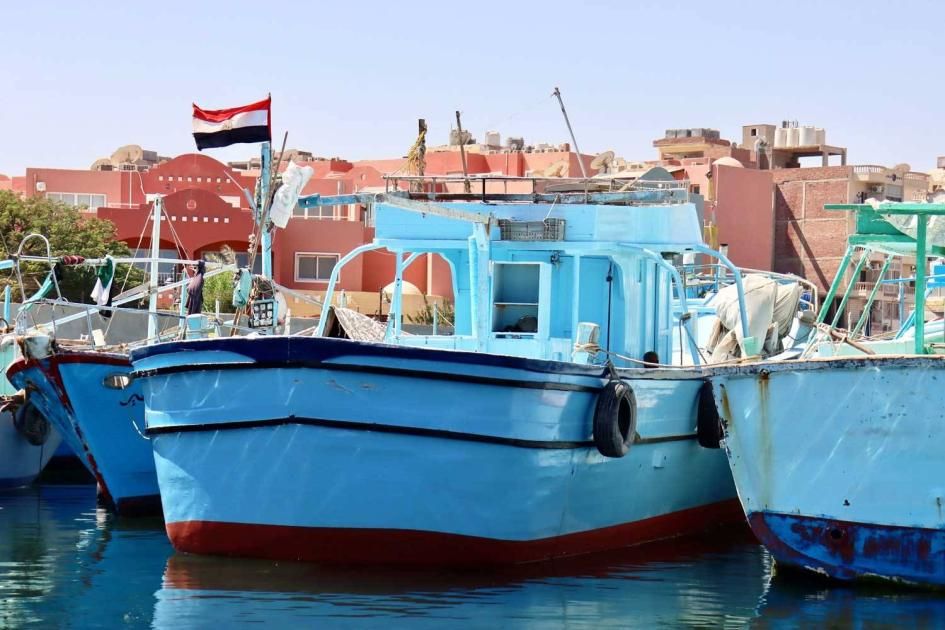 مصر تتصدى للصيد المخالف في المحميات الطبيعية