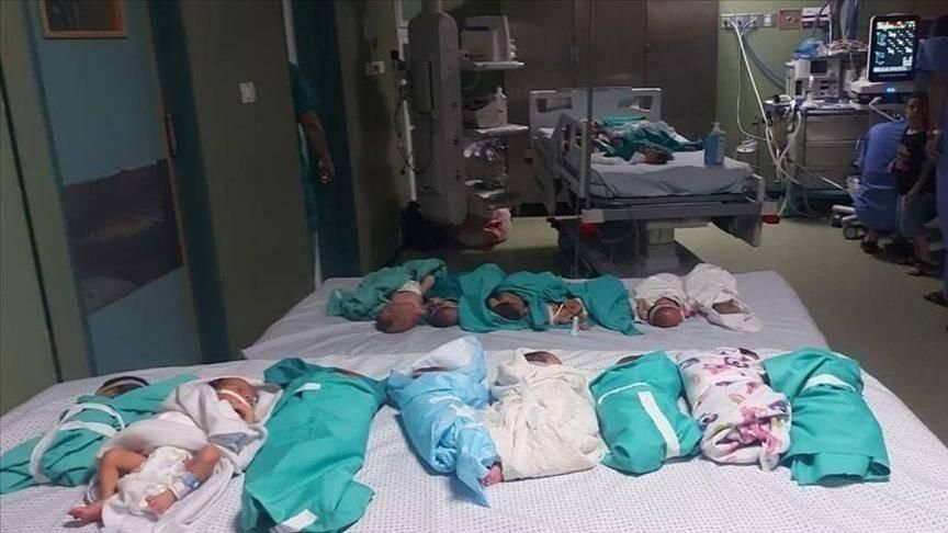 نرجس.. رضيعة خرجت من رحم والدتها المقتولة تواجه خطر الموت في غزة
