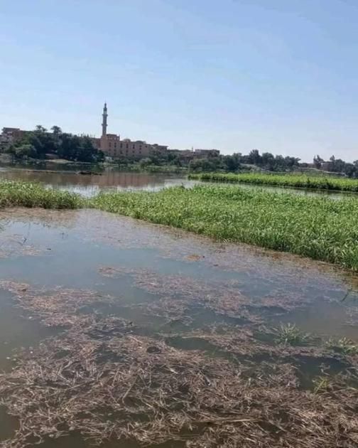 بعد تحذيرات رئيس الوزراء.. المياه تجتاح قرى طرح النيل بالمنوفية