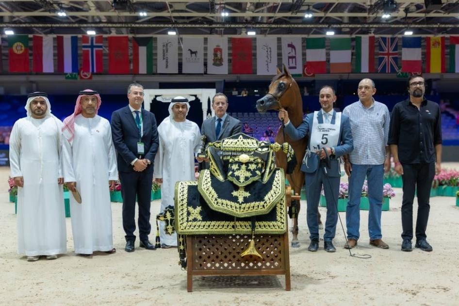 خيول الإمارات تخطف الأضواء في «تايتل شو» بالمغرب