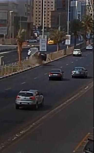 شرطة الشارقة تسجل 267 حادثاً مرورياً بسبب الانشغال بالهاتف