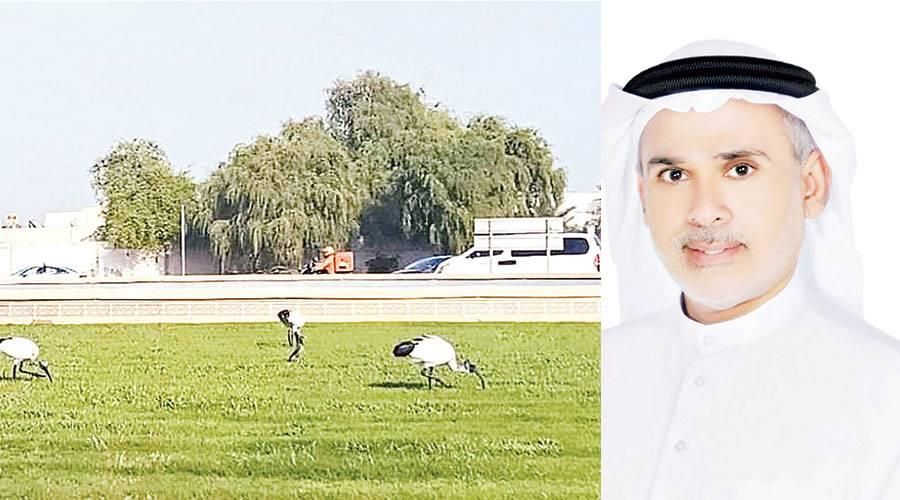 «الأرصاد»: انتهاء «شاكتي» وتوقعات بسقوط أمطار غداً