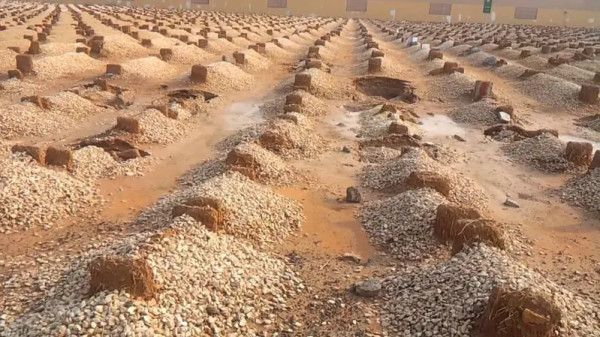 السعودية.. دفن فتاة بالخطأ بعد تسليم جثمانها على أنه شاب