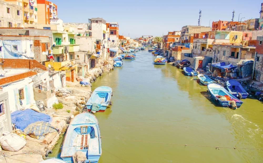 الإسكندرية تفوز بجائزة المدن الذكية