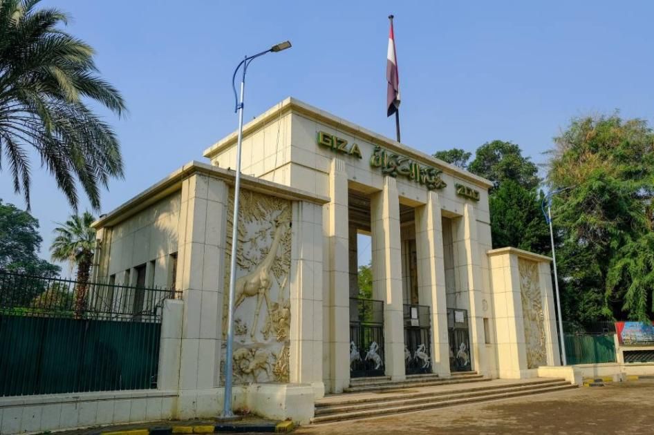 حديقتا الحيوان والأورمان بمصر.. ذكيتان