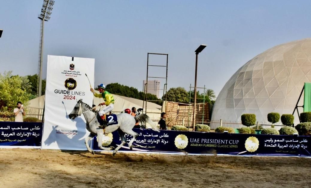 مصر تستضيف كأس رئيس الدولة للخيول العربية الأصيلة اليوم