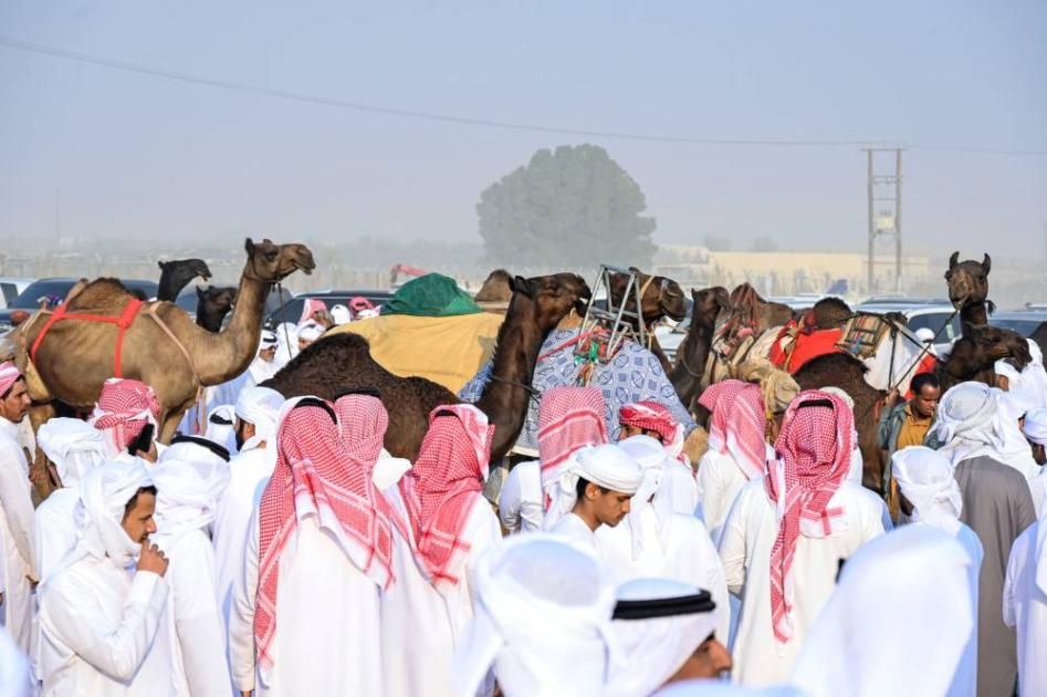 انطلاق منافسات مزاينة سويحان بمهرجان الظفرة