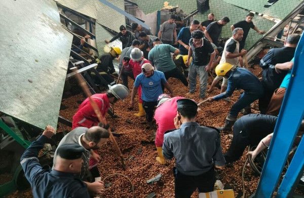 صور: إنقاذ 4 عمال من تحت أطنان من التمور في العراق