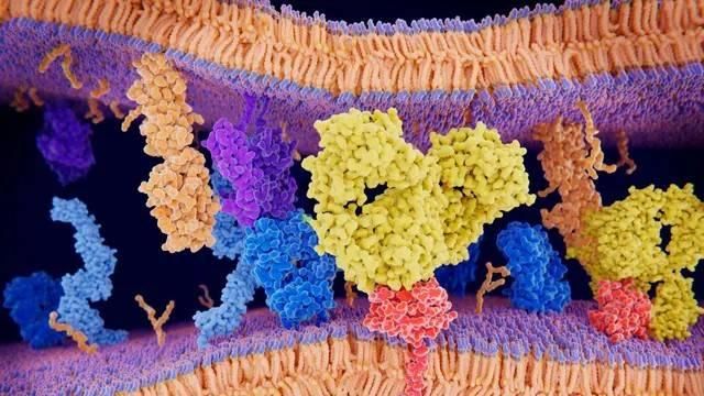 نموذج ذكاء اصطناعي يفهم لغة البروتينات