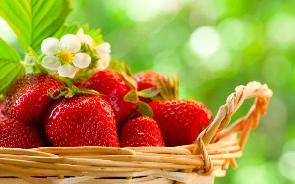 خبير يحذر: الفراولة قد تحتوي على أعلى مستويات المبيدات الكيميائية بين الفواكه