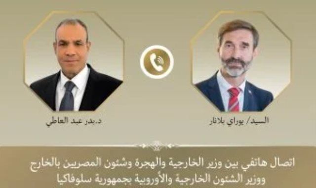 وزير الخارجية يؤكد أهمية ضمان استدامة وقف إطلاق النار فى غزة