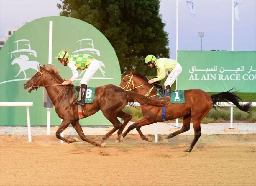 102 خيل في حفل السباق الرابع على مضمار العين