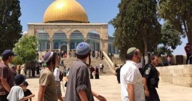 f5c11ed18c.jpg