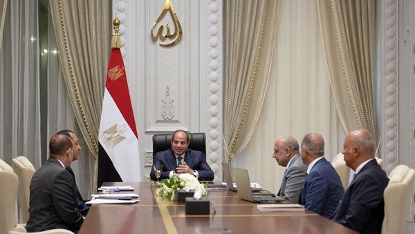 قرارات جمهورية مهمة وتكليفات حاسمة للحكومة تتصدر نشاط السيسي في النصف الأول من أغسطس(فيديو)