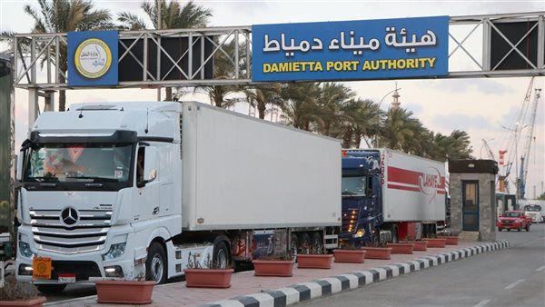 ​«الرورو» يربط أوروبا بالخليج، طفرة جديدة في حركة الترانزيت بميناء دمياط