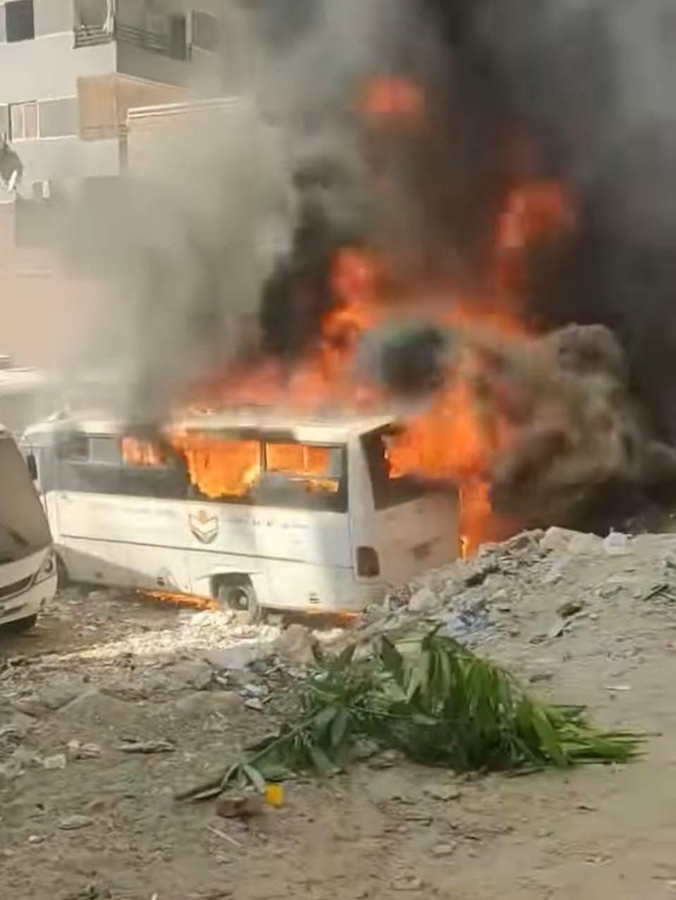 سيارت مدرسة الواحة 