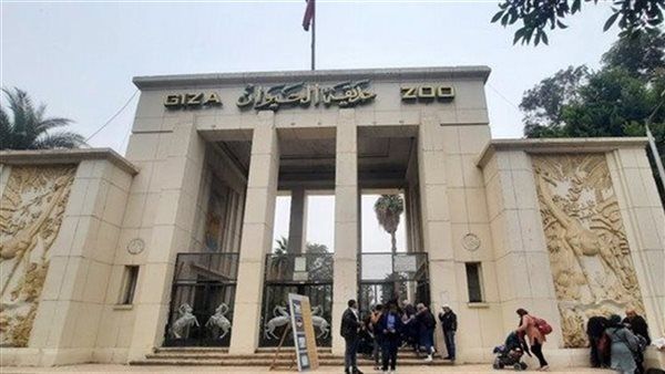 بها فيلة وحيوانات نادرة، موعد افتتاح حديقة الحيوان بالجيزة 2026