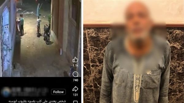 من سرقة "تابلت" إلى الاعتداء على كلب، الداخلية تكشف ملابسات وقائع متداولة