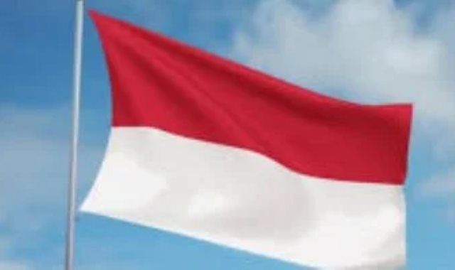 رئيس إندونيسيا يتعهد بتسريع مكافحة حرائق الغابات ويواصل جولاته الميدانية