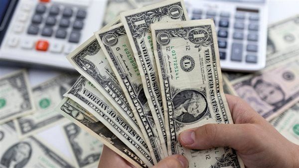 خبير اقتصادي لـ"فيتو": المشروعات ذات القدرة التشغيلية المرتفعة تعظم العائد على الاقتصاد والمواطن