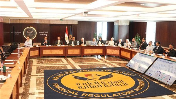 "الرقابة المالية" تعقد ورشة عمل بالتعاون مع الاتحاد الأوروبي وبرنامج الأمم المتحدة الإنمائي