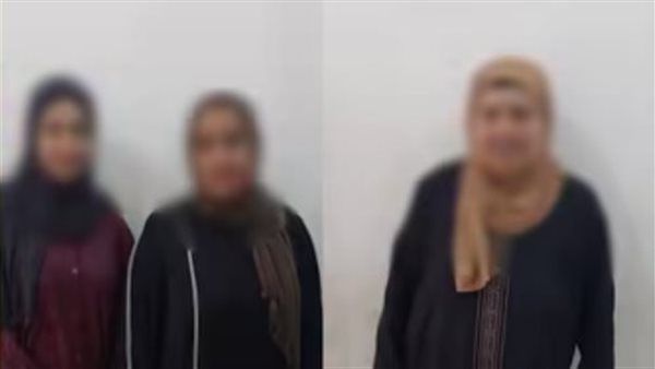 مشاجرة بين الحماة وزوجة الابن تصل للسوشيال ميديا، ضبط الطرفين وتبادل الاتهامات بالغربية