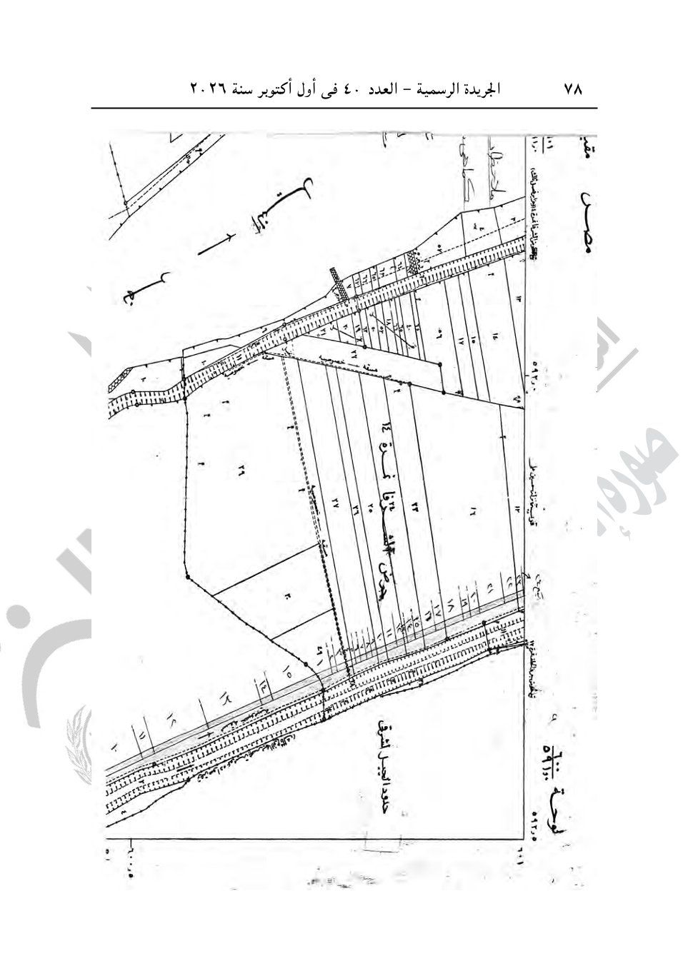 d181872ec3.jpg