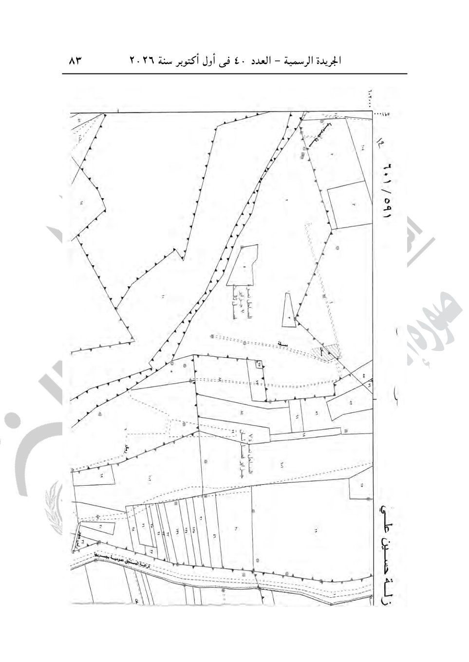 ff53287135.jpg