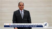 عاجل- السيسي: حريصون على تعزيز دور القطاع الخاص الأفريقي باعتباره شريكًا في تحقيق التنمية