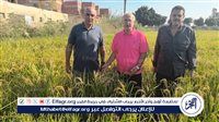 "زراعة عين شمس" تعزز قدراتها الإنتاجية والبحثية بمركز التجارب والبحوث بشلقان
