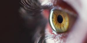 "تحذيرمصري
      شديد
      اللهجة"..
      زواج
      الأقارب
      يُسبب
      "العَمَى"