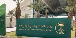 "البيئة"
      تدعو
      مستثمري
      أسواق
      النفع
      العام
      والمزارع
      للاستفادة
      من
      "منصة
      نما"