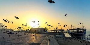 حالة الطقس خلال الـ72 ساعة المقبلة.. اضطرابات بحرية وظواهر جوية