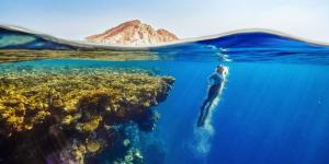 ما الذي يميّز صيف السعودية 2025؟