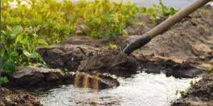 «بيئة أبوظبي»: 6 مخاطر مرتبطة بالتغير المناخي