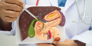 نصائح هامة لـ"مرضى المرارة" في رمضان.. اختيار الطعام "سر الراحة"