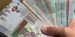 سعر الجنيه مقابل الدولار في بنك السودان المركزي اليوم الأربعاء