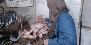 حملات بيطرية مكثفة للتفتيش على الأسواق والمطاعم في كفر البطيخ بدمياط
