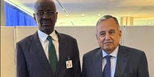 نبيل فهمي يلتقي وزير الخارجية الموريتاني على هامش أعمال الجمعية العامة للأمم المتحدة