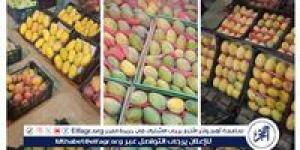 مبادرة "يوم للأهالي" لشراء المانجا بأسعار مخفصة بدمنهور