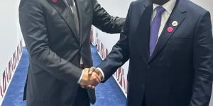 وزير المالية: التنوع الاقتصادي وتحسن المؤشرات المالية أهم ركائز التعاون المصري التنزاني