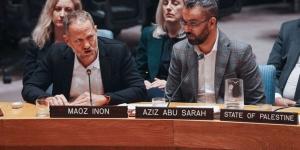الأكبروف لمجلس الأمن: الاستيطان يلتهم الأرض الفلسطينية